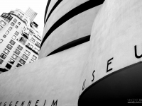newyork_2010-14