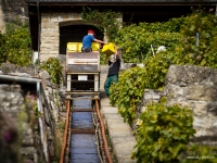 vendanges2013_slideshow_vincentbailly-32