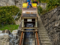 vendanges2013_slideshow_vincentbailly-33