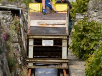 vendanges2013_slideshow_vincentbailly-34