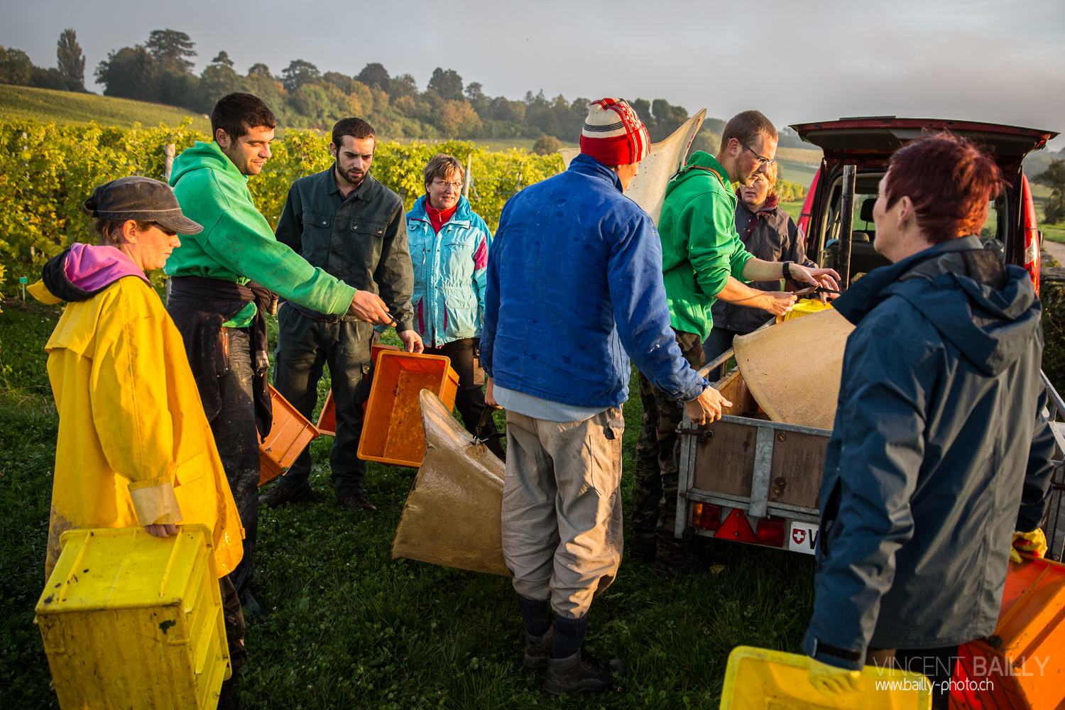 vendanges2013_slideshow_vincentbailly-1