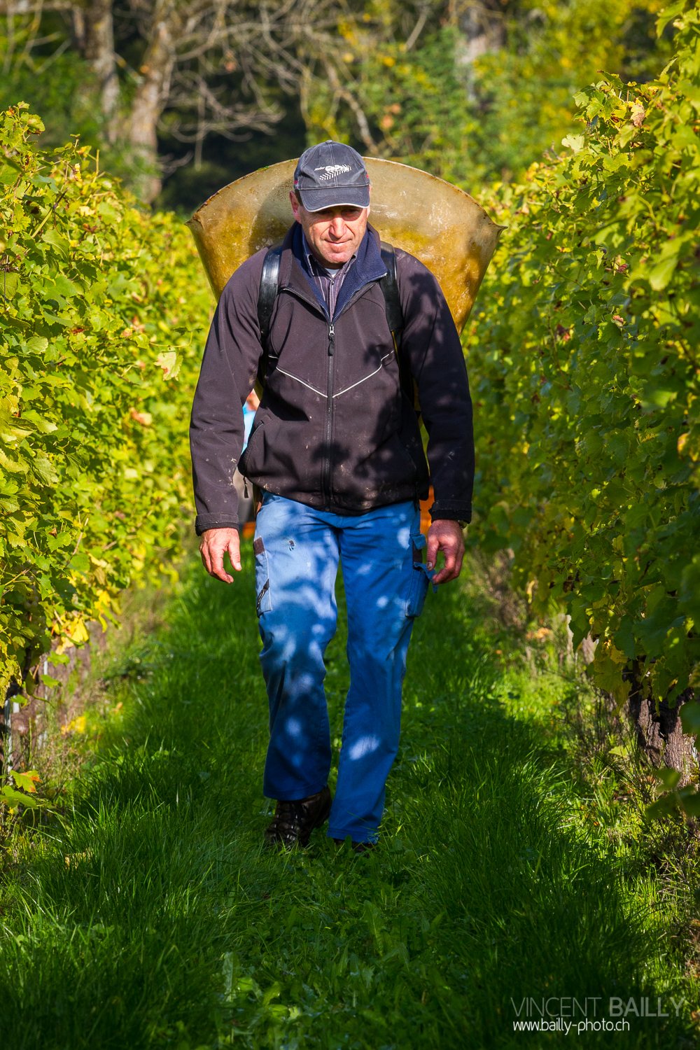 vendanges2013_slideshow_vincentbailly-22