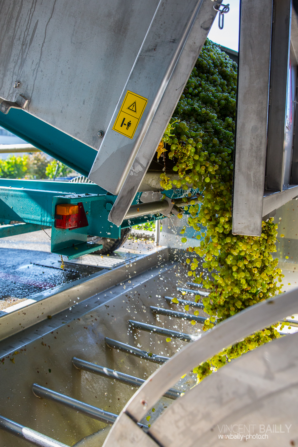 vendanges2013_slideshow_vincentbailly-26