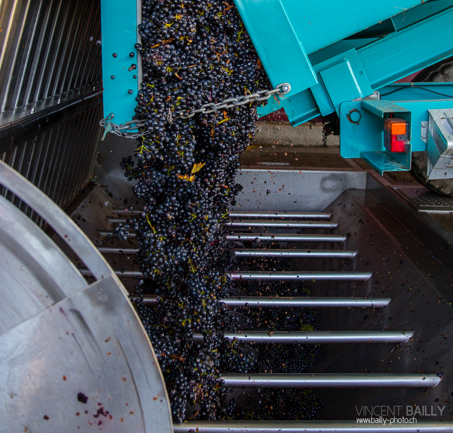 vendanges2013_slideshow_vincentbailly-27