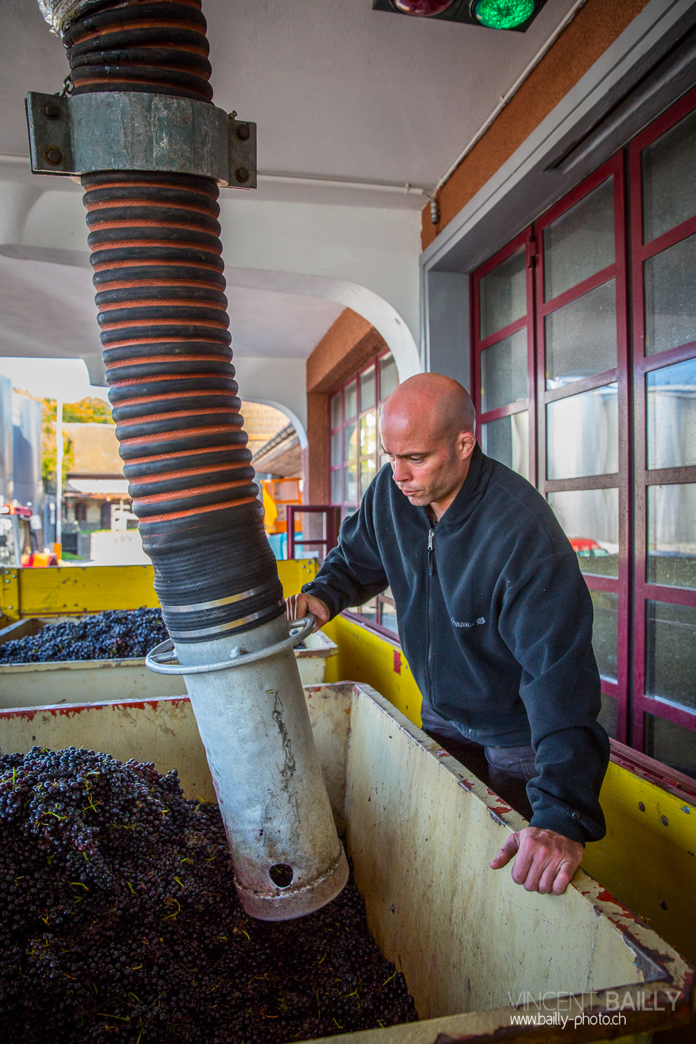 vendanges2013_slideshow_vincentbailly-28