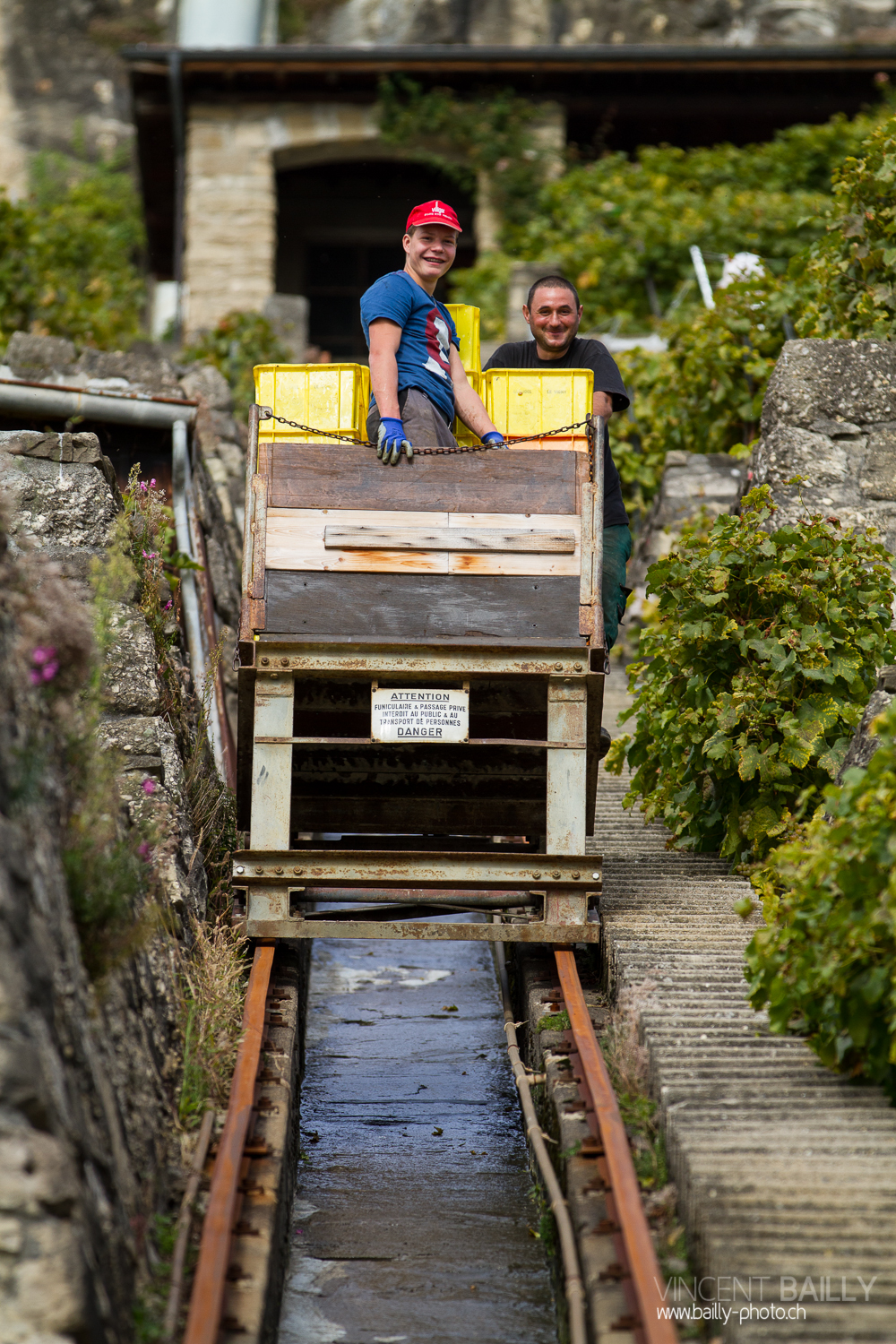 vendanges2013_slideshow_vincentbailly-34