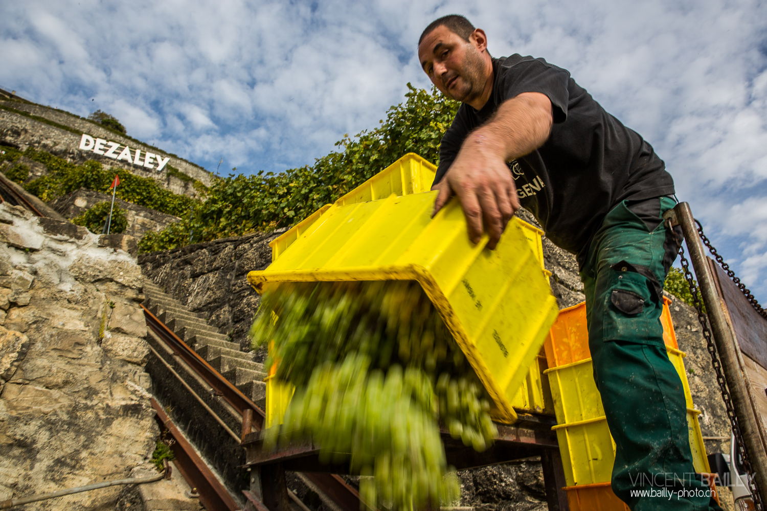 vendanges2013_slideshow_vincentbailly-35